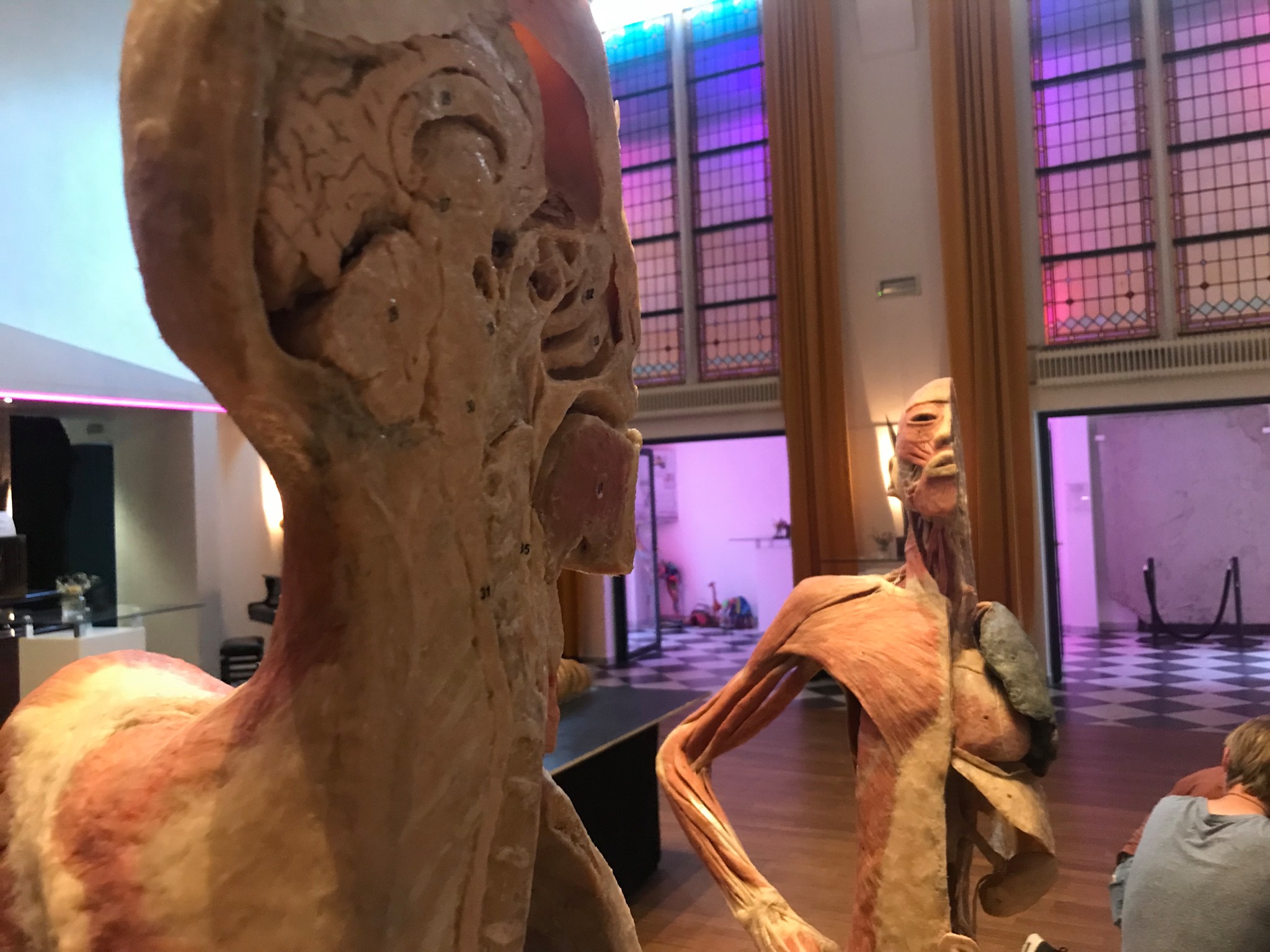 Real Human Bodies